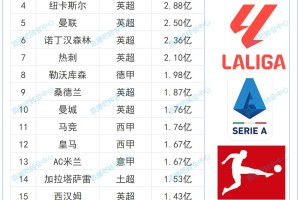 星空体育官网-利物浦4.83亿领跑！英超包揽夏窗支出榜九席，勒沃库森跻身前十
